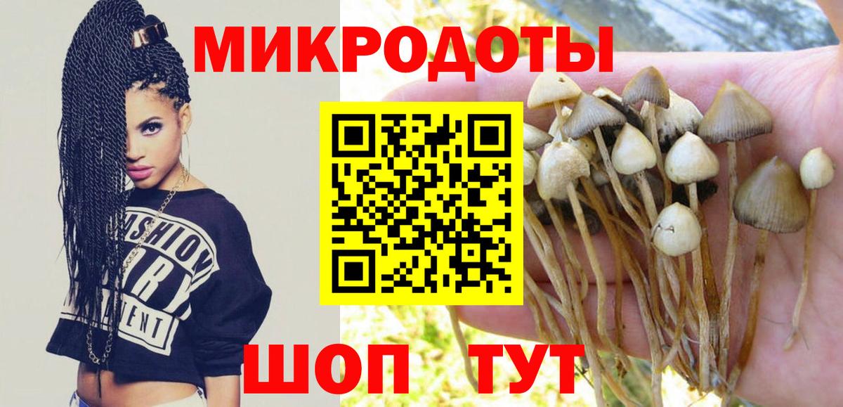 Семилуки  Галлюциногенные грибы ЛСД  Вход с VPN 