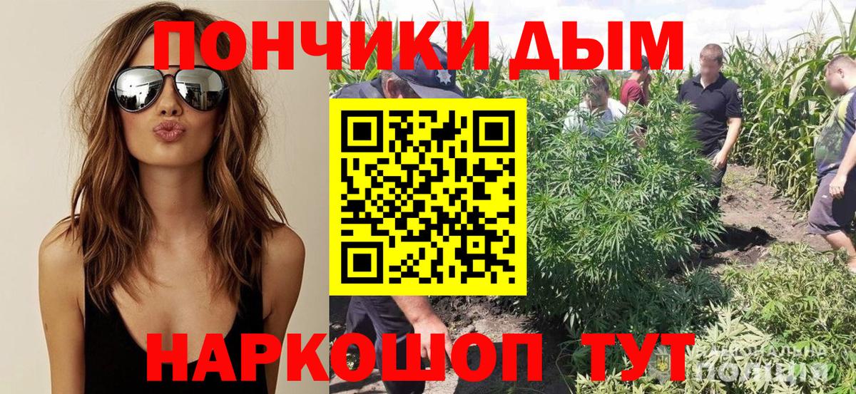 Конопля гибрид Семилуки
